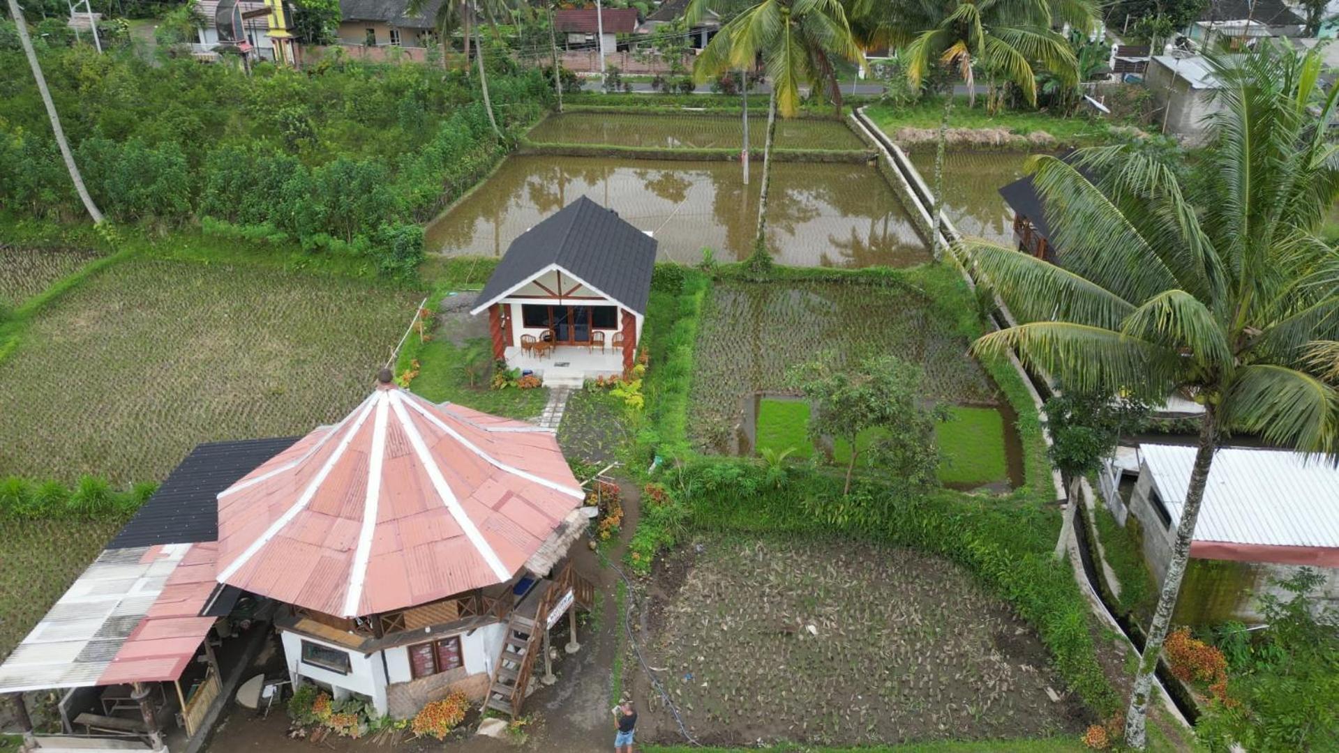 Rice Field Inn - Lombok Tetebatu Exterior photo